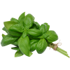 Basil Leaves